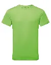 TR010_37_LIME.webp