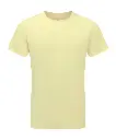 TR010_48_BUTTERYELLOW.webp