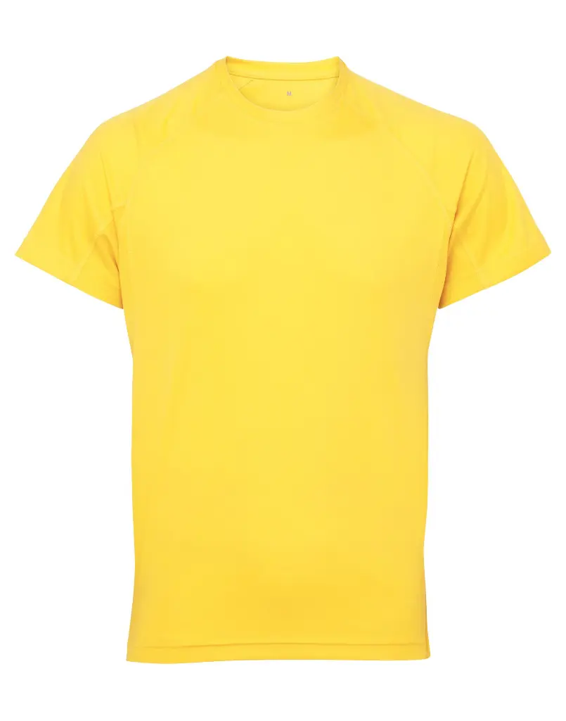 TR011_11_SUNYELLOW.webp