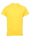 TR011_11_SUNYELLOW.webp