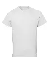TR011_12_WHITE.webp