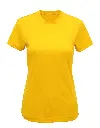 TR020_24_SUNYELLOW.webp