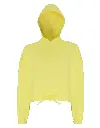 TR085_10_LEMON.webp