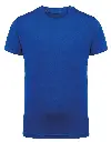 TR10B_15_ROYAL.webp