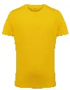 TR10B_18_SUNYELLOW.webp