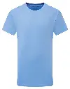 TR10B_25_CORNFLOWER.webp