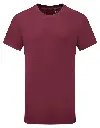 TR10B_24_BURGUNDY.webp