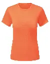 TR504_15_LIGHTNINGORANGE.webp