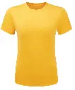 TR504_22_SUNYELLOW.webp