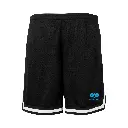Mesh Shorts