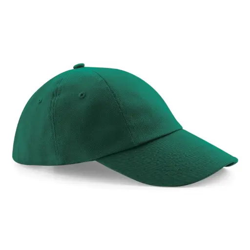 Low-Profile Heavy Cotton Drill Cap